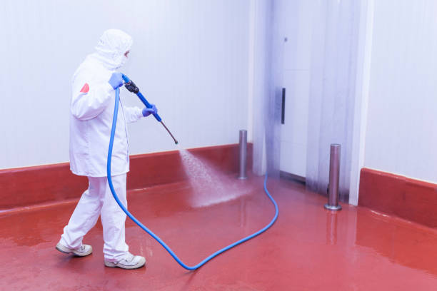 Best Driveway Cleaning and Restoration in Ocala, FL